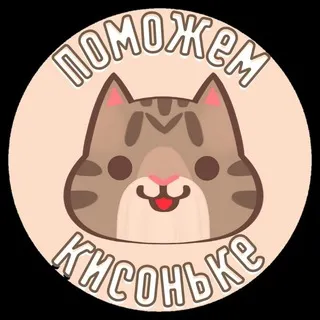 "Поможем кисоньке" Приют для котиков СПБ