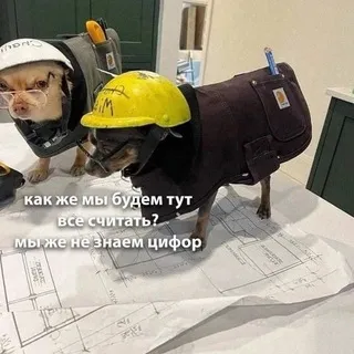 Дениска сделал