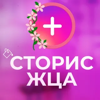 Сторис ЖЦА