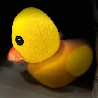 Oh my duck!