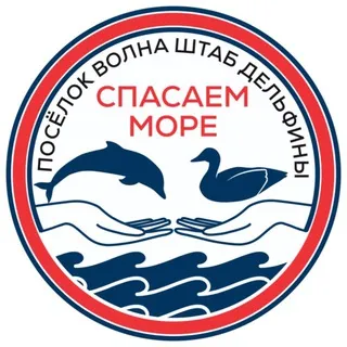 Штаб "Дельфины" Спасаем море. п.Волна🐬 Новости "Центр Развития Культуры и Инноваций"