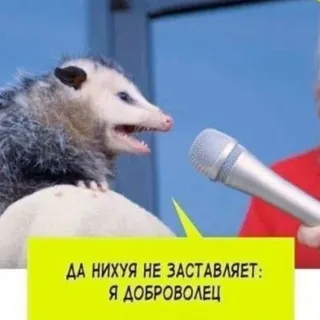 Пояснение дегродских музыкальных мемов