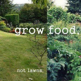 FUCK LAWNS