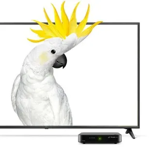 DEN.TV-ru