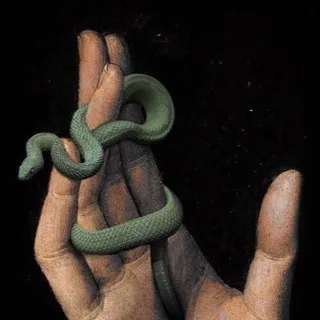 Snake Club 🐍
