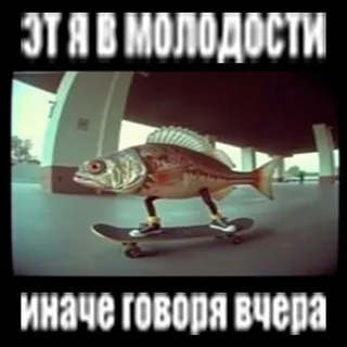 🏳️‍🌈Санчез Конопля 16+