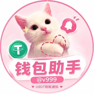 钱包助手 v999