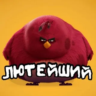 ЛЮТЕЙШИЙ ПИАР-ЧАТ🦅