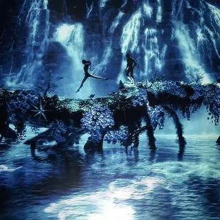 `{𝑰𝑵𝑭𝑶}[🌊]