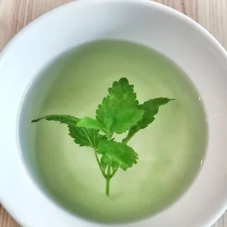 NaturaVi