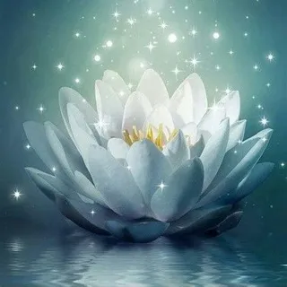 ✨ Seja Luz ✨🦋