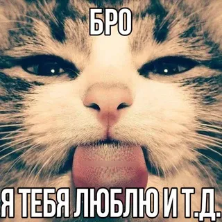 прайс шадоуфлары