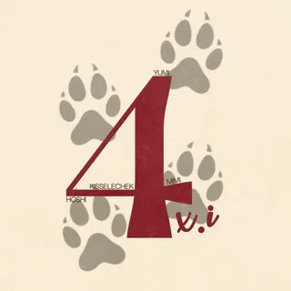 4x.i