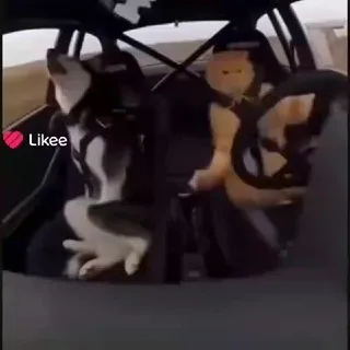 Чат для обращения!! {/ Горди!! \}