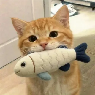 ᥕᥱrᴛᥕ1