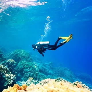 Diving people | О дайвинге и дайверах
