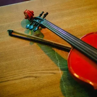 ПоллиРитмия🎻🍄