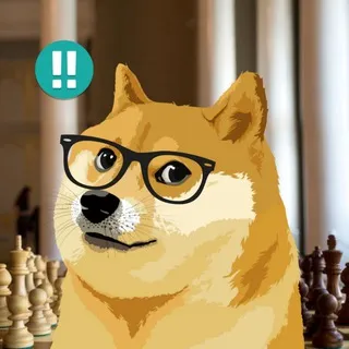 Chess Gallery ™