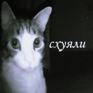 А че не спим🗿