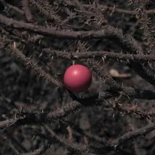 obozreniye