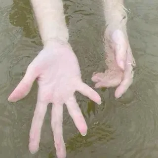 clinika