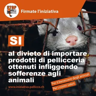 Sì al divieto di importare prodotti di pellicceria / di foie gras / una limitazione dei fuochi d’artificio