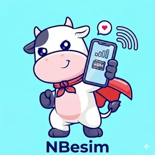 NBesim