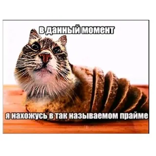 Летающая курица Винмарк