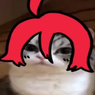 ✻ ℕ𝕖𝕥𝕣𝕚𝕜𝕠 ✻