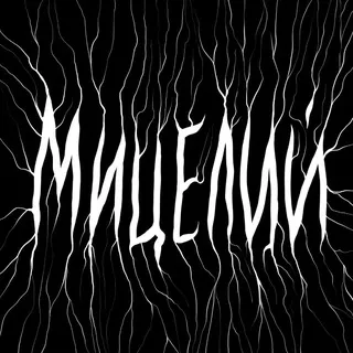 МИЦЕЛИЙ
