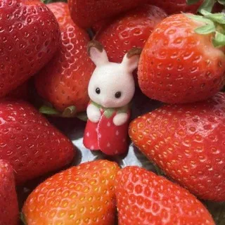 🍓Strawberry_confession (´ ▽｀).ｏ♡