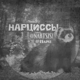 Переходник нᴀᴩциᴄᴄы ♰ | рейд кф