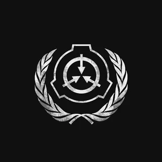 SCP CONFESSION