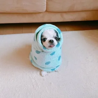 Шимэй снова что-то шьет..