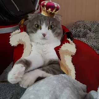 《 Нурик/Шурик 》