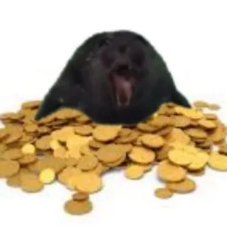 𑣲 ꌗꀿ𝔒ꃀ ᘻᗣᗞᒐᙓᙁ ᐟ не лич