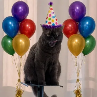 Привет, я Кошька Милаша! It`s my life!