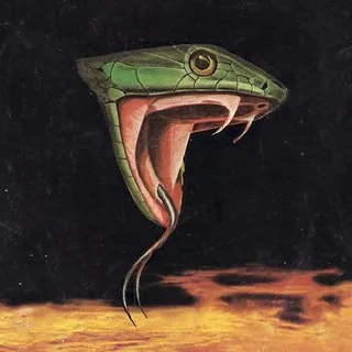grab the snake