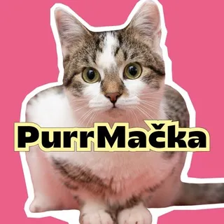 PurrMačka