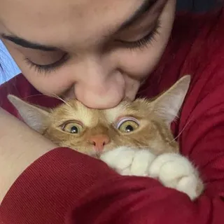 невольница твоих идей