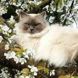 вот бы