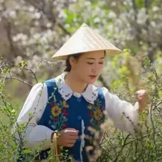 滇西小哥 Dianxi Xiaoge