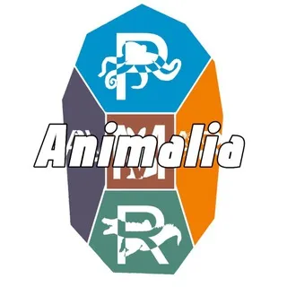 INFO CHANNEL "Animalia" [14+]