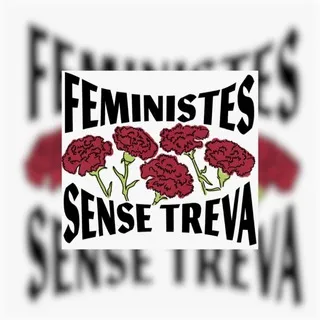 [INFO - Feministes Sense Treva]