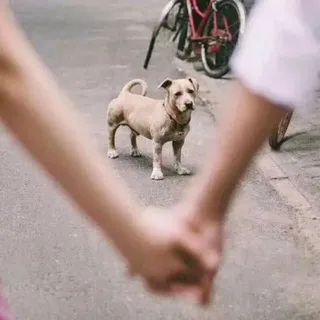 热点恋综|奇葩情侣|变态剧情💥