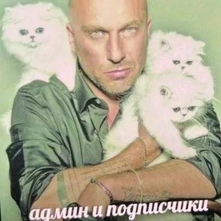 Главный чай приёмышев Майлза