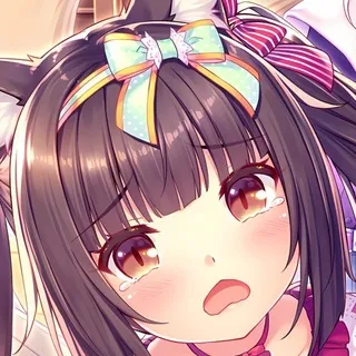 𝙣𝙨𝙛𝙬 𝙣𝙚𝙠𝙤𝙥𝙖𝙧𝙖 𑄽୧ 𝘢𝘥𝘢𝘱𝘵𝘦𝘳