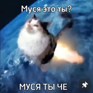 щитпост это ты? |+18
