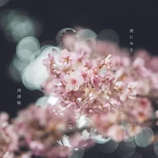 音楽 | japanese music