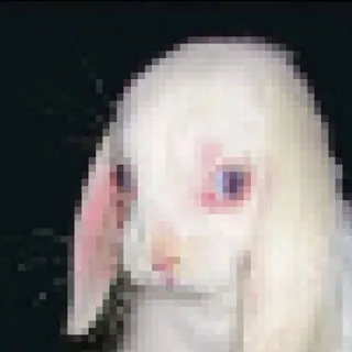 ﹉﹍﹊ قصص مخيفة